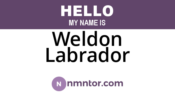 Weldon Labrador