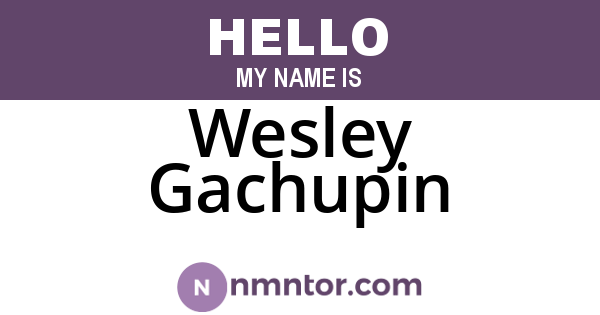 Wesley Gachupin