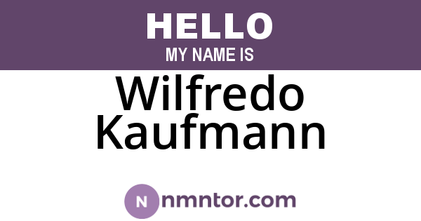 Wilfredo Kaufmann