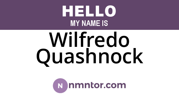 Wilfredo Quashnock