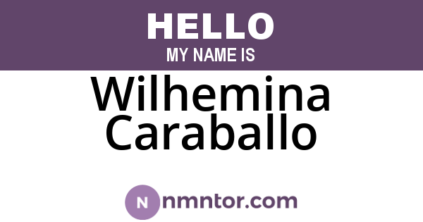 Wilhemina Caraballo