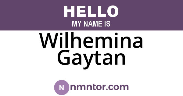 Wilhemina Gaytan