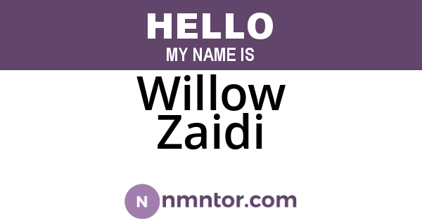 Willow Zaidi