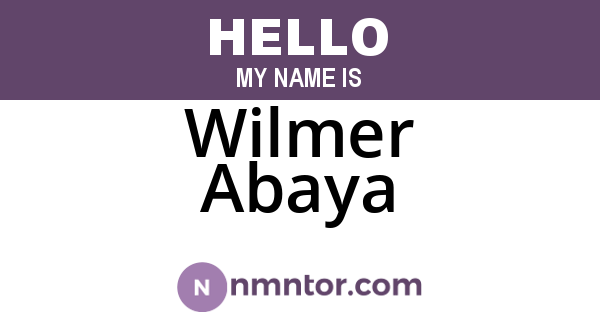 Wilmer Abaya