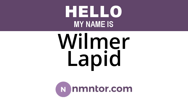 Wilmer Lapid
