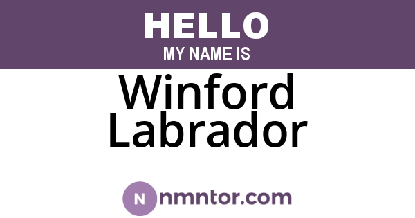 Winford Labrador