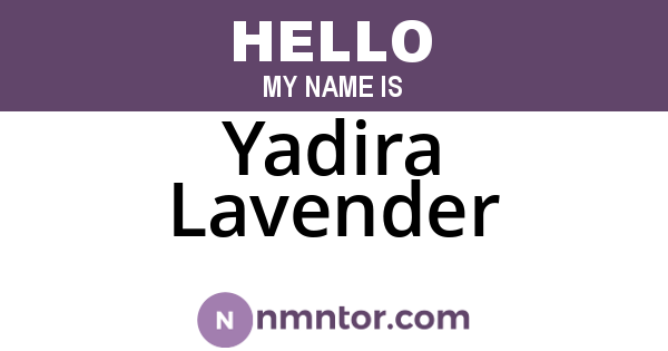 Yadira Lavender