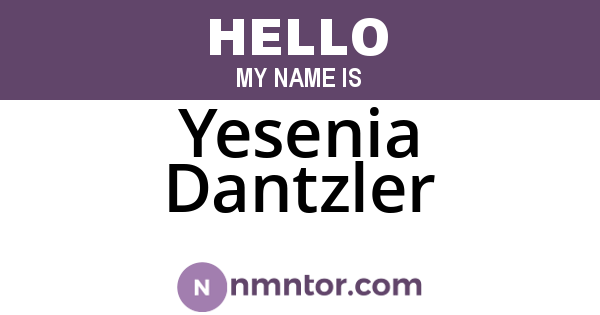 Yesenia Dantzler
