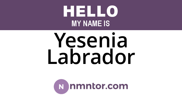 Yesenia Labrador